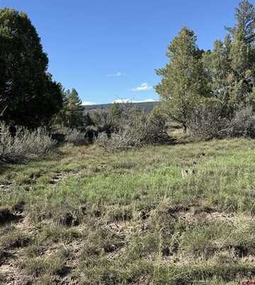 132 Hurt Lane, Pagosa Springs, CO 81147