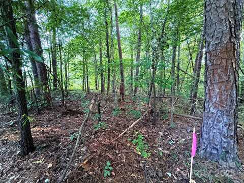 Carlie Street lot: 102, Norwood, NC 28128