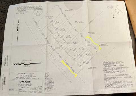 Carlie Street lot: 101, Norwood, NC 28128