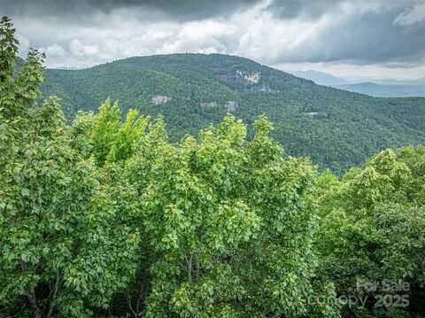 Meadow Ridge Drive unit: L9, Lake Toxaway, NC 28747
