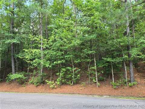 893 Loblolly Drive, Woodlake, NC 28394
