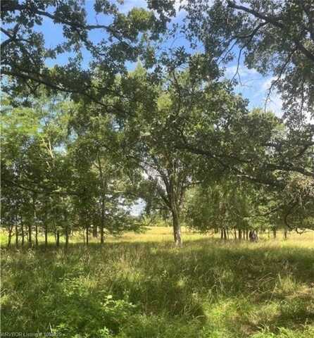 Tract 17 Bean Patch LOOP, Howe, OK 74940