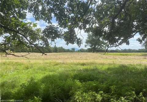 Tract 15 Bean Patch LOOP, Howe, OK 74940