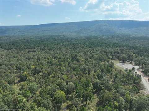 Tract 9-13 River RD, Muse, OK 74949