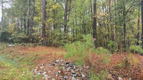 0 Grant Road, Ellenwood, GA 30294