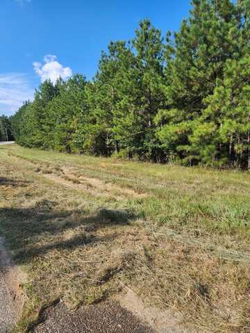 Lot 1 Ga 220, Lincolnton, GA 30817