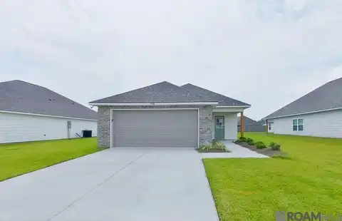 13748 Willowmore Dr, Denham Springs, LA 70726