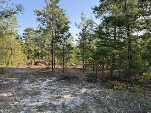 4.78 Acres Horne, Roberta, GA 31078
