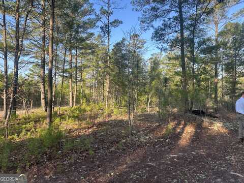 4.78 Acres Horne, Roberta, GA 31078