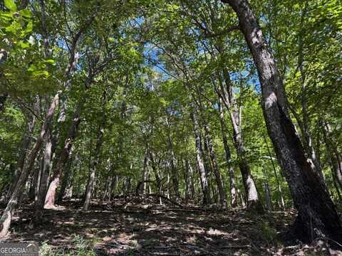 0 Moss Patch, Jasper, GA 30143