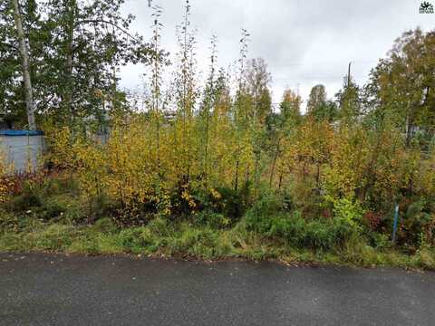 NHN EIELSON STREET, Fairbanks, AK 99701