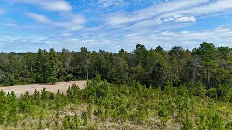 0 Ernest Carter Road, Other, GA 31539