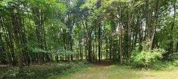 W AB Avenue, Otsego, MI 49078