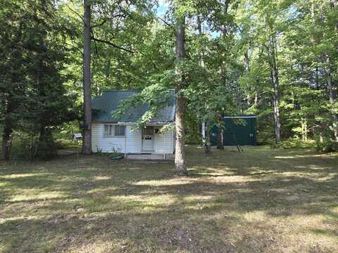 4298 E 5 Mile Road, Luther, MI 49656