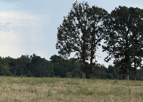 Tract 2 Lawrence 2180, Aurora, MO 65605