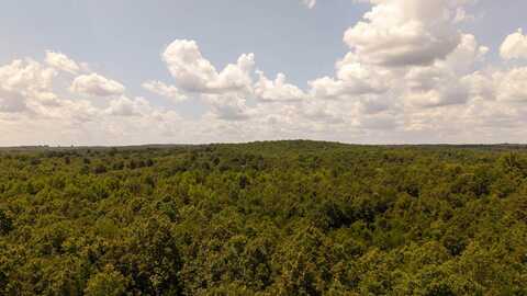 000 Squirrel Hill Road, Glencoe, AR 72539