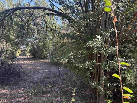TBD FM 607, Brownsboro, TX 75756