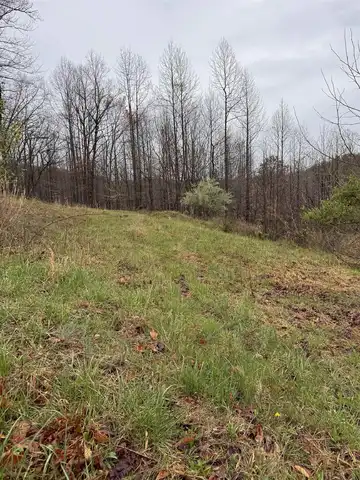 1017-1018 Stardust Drive, Scott Depot, WV 25560