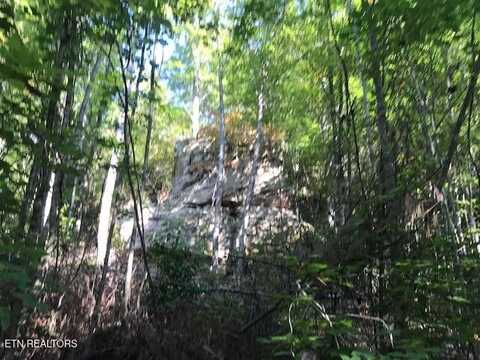 Rob Watson Rd, Oneida, TN 37841
