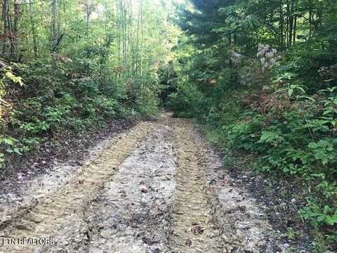 Rob Watson Rd, Oneida, TN 37841