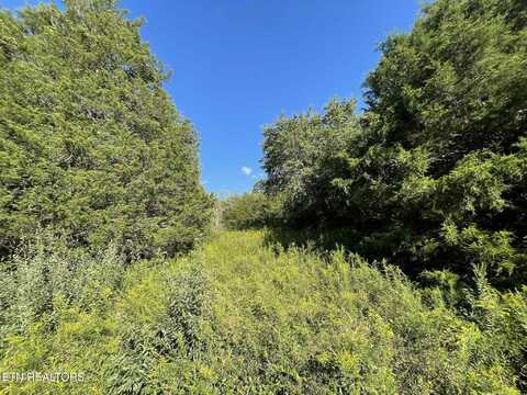 Little Sycamore Rd, Tazewell, TN 37879