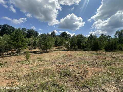 487 Julip Lane, Philadelphia, TN 37846