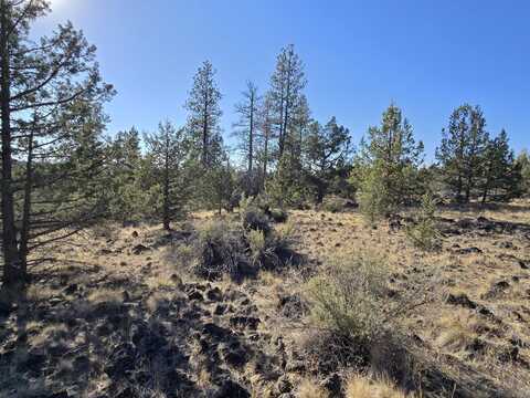 Blue Heron Drive, Bonanza, OR 97623