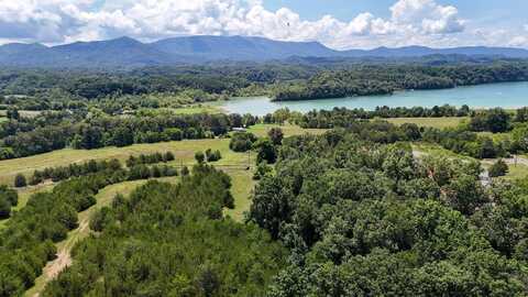 Lots 3 & 4 Swannsylvania Road, Dandridge, TN 37725