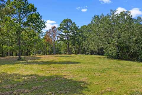 Lot 29 Frances Lane, Diana, TX 75640