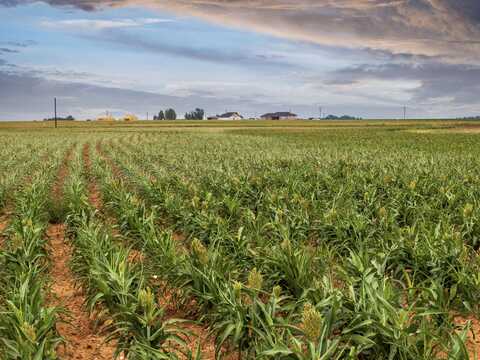 5982 Tiger Road, Ropesville, TX 79358