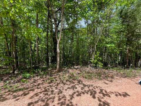 0 LEE ROAD 72, WAVERLY, AL 36879
