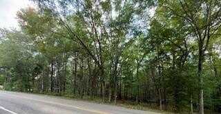 Parcel A Lee Road 390, OPELIKA, AL 36804