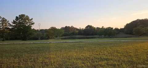 422 Buchanan Drive, Montgomery, AL 36105