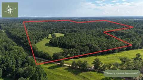 260 Sunflower Road, Union Springs, AL 36005