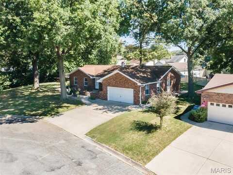6 Michael Court, Bethalto, IL 62010