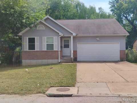 10236 Earl Drive, Saint Louis, MO 63136
