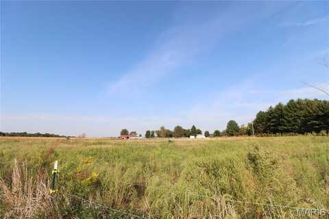 191 650 Avenue, Mulberry Grove, IL 62262