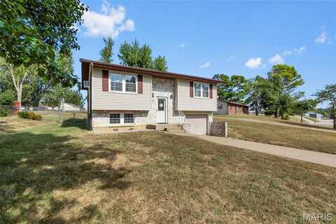 1100 Ridge Drive, Perryville, MO 63775