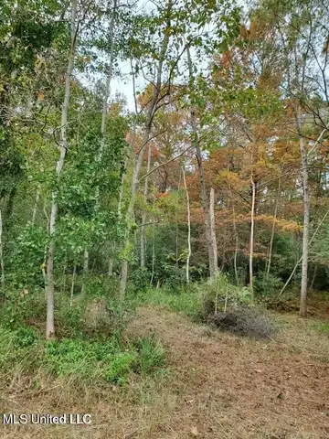 0 Sandpiper Lane, Gautier, MS 39553