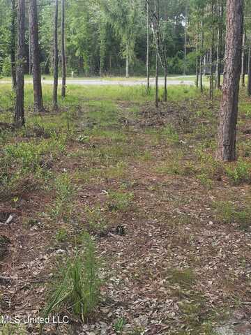 18517 Goff Farm Road, Moss Point, MS 39552