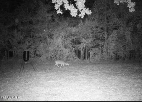 Phares Lane, Meadville, MS 39653