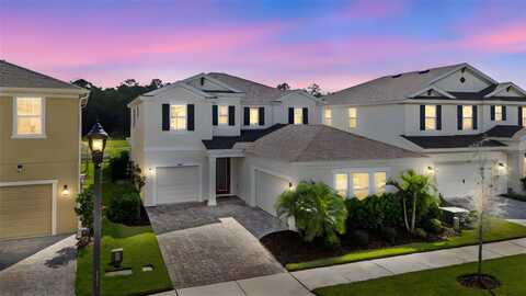18017 RAMBLE ON WAY, LAND O LAKES, FL 34638