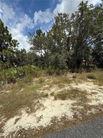 13063 CONVENT GARDEN ROAD, BROOKSVILLE, FL 34613