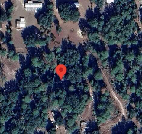 330 BEECHER SPRINGS RD, WELAKA, FL 32193