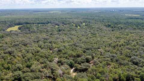 23172 SE 120TH PLACE, HAWTHORNE, FL 32640