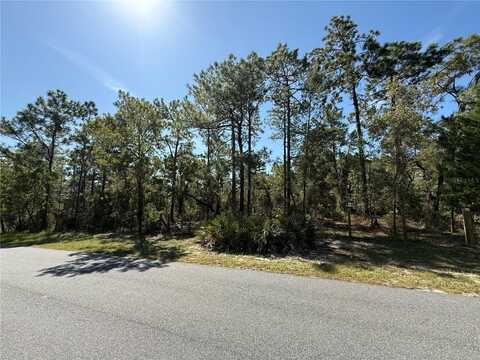 9006 MICHIGAN AVENUE, WEEKI WACHEE, FL 34613