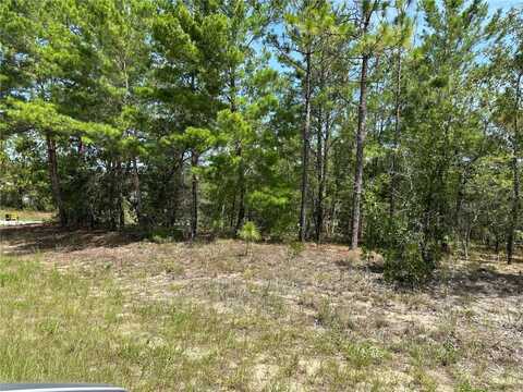 8338 HARDSTONE DRIVE, WEBSTER, FL 33597