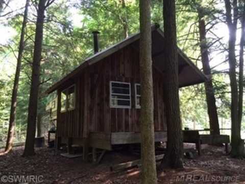 9455 E Buhler, Howard City, MI 49329