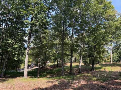 0 Madison Lane, BRASSTOWN, NC 28902