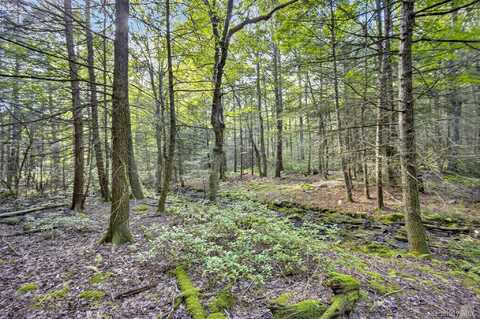 154 Schwabie Turnpike, Kerhonkson, NY 12446